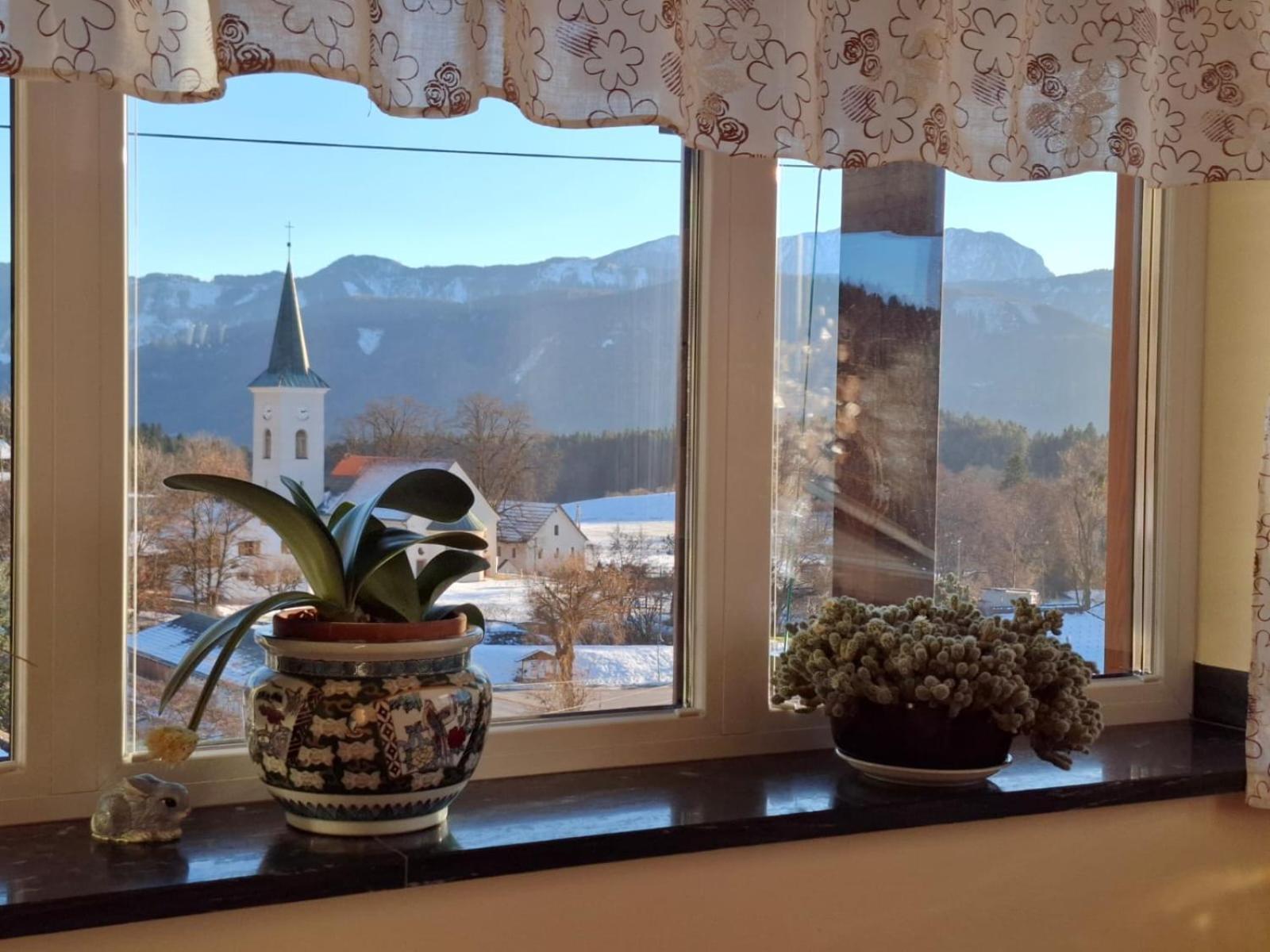 Wohnung In Kaernten Naehe Millstaettersee Fresach Екстер'єр фото
